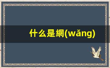 什么是網(wǎng)絡(luò )運營(yíng)商插圖